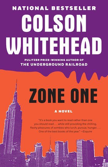 Zone One book cover