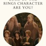 Quiz  Which The Lord of the Rings Character Are You  - 99