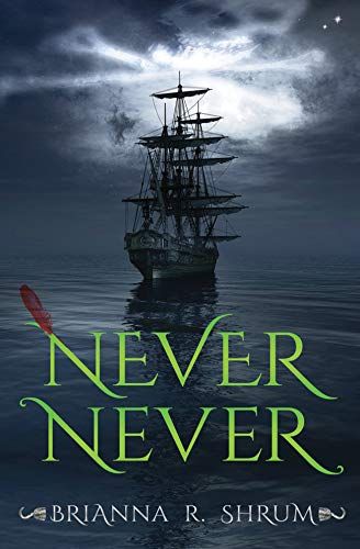 Never Never book cover