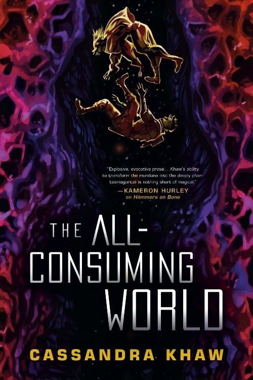 The All-Consuming World book cover