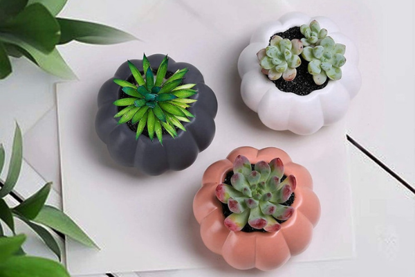 Pumpkin Succulent Planters