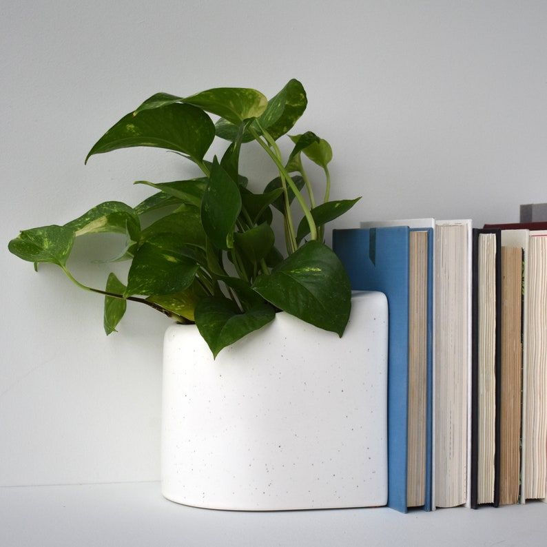 White ceramic planter bookend holding a plant.