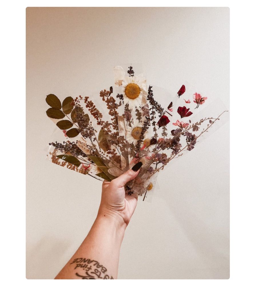 Image of a white hand holding an array of dried, pressed flower bookmarks in browns and dark greens. 