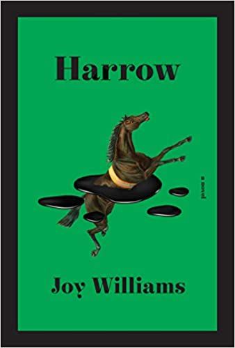 couverture de Harrow de Joy Williams