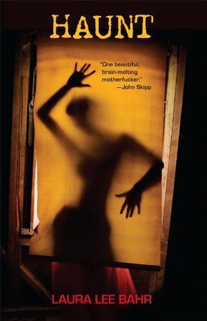 cover of Haunt by Laura Lee Bahr, featuring shadow of woman behind a yellow window screen