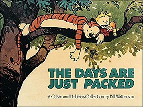 A Definitive Ranking of the Calvin and Hobbes Collections - 41