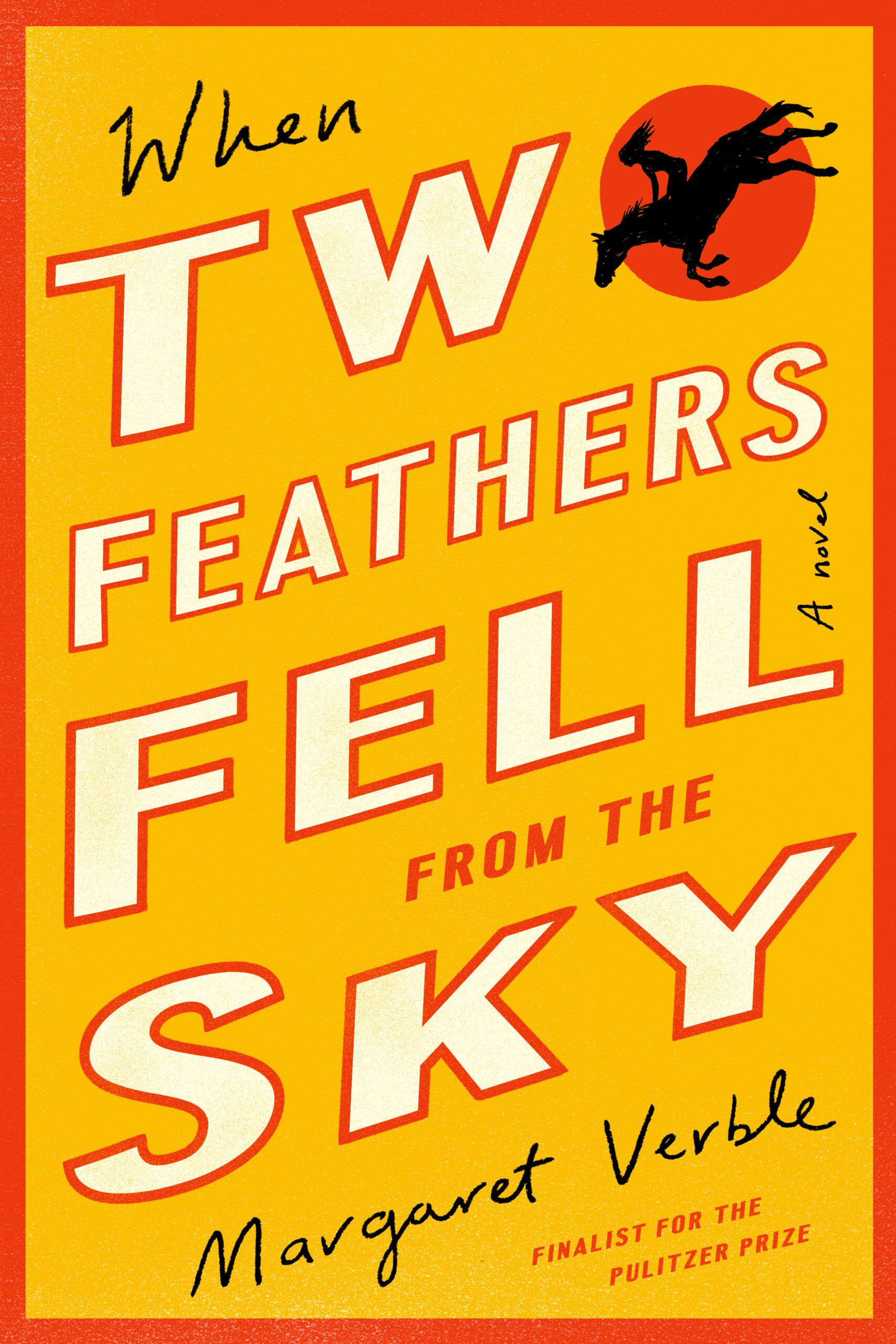 When Two Feathers Fell From the Sky book cover