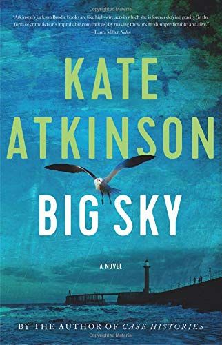 Big Sky book cover