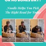 QUIZ  Bones Day or No Bones Day   Noodle Helps You Pick the Right Read for Today - 55