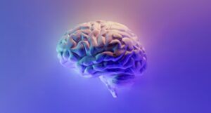 a brain lit by neon lights against a purple background