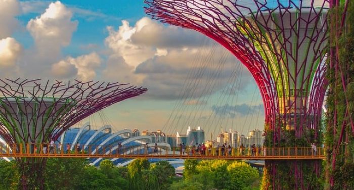 image of people walking across bridge in the Super Tree Grove at Gardens by the Bay.