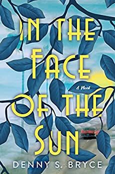 In the Face of the Sun Book Cover
