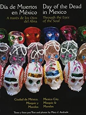 Through The Eyes of the Soul by Mary Andrade book cover
