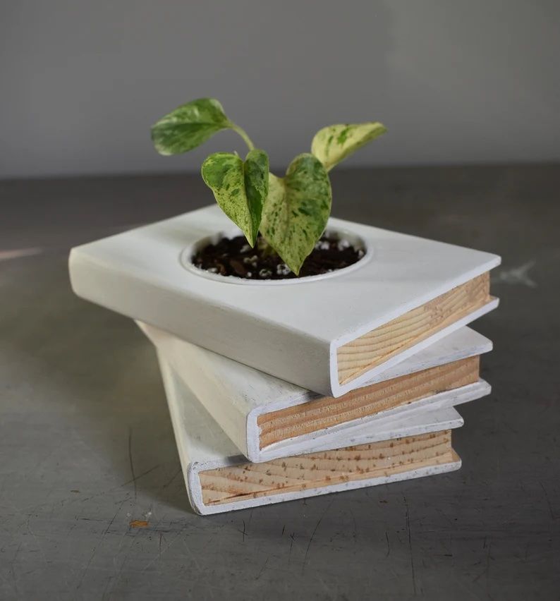 Une jardinière avec une pointe de trois livres en bois blanc, avec une plante émergeant du centre. 