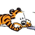 Calvin and Hobbes reading against white background