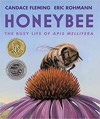 Honeybee by Candace Fleming Cover