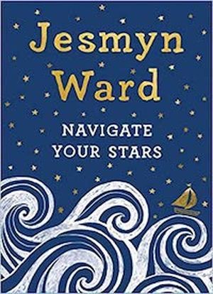 Navigate Your Stars book cover
