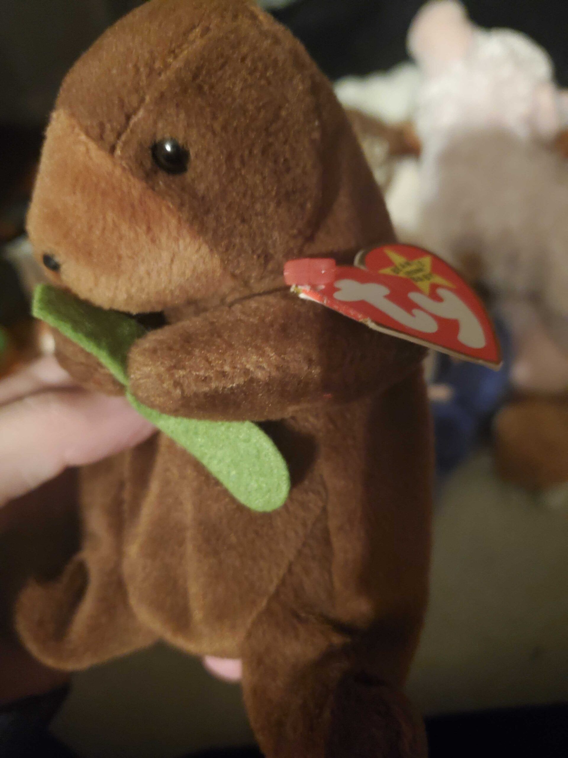 An Inconsistent Ranking of 100  Beanie Baby Tag Poems - 95