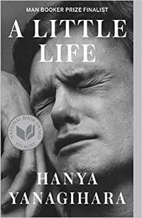 cover of A Little Life
