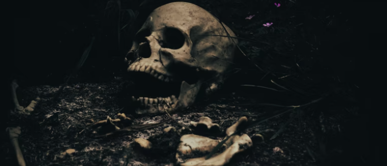 black and white image of skull on ground, covered in dirt; image by jon butterworth for unsplash