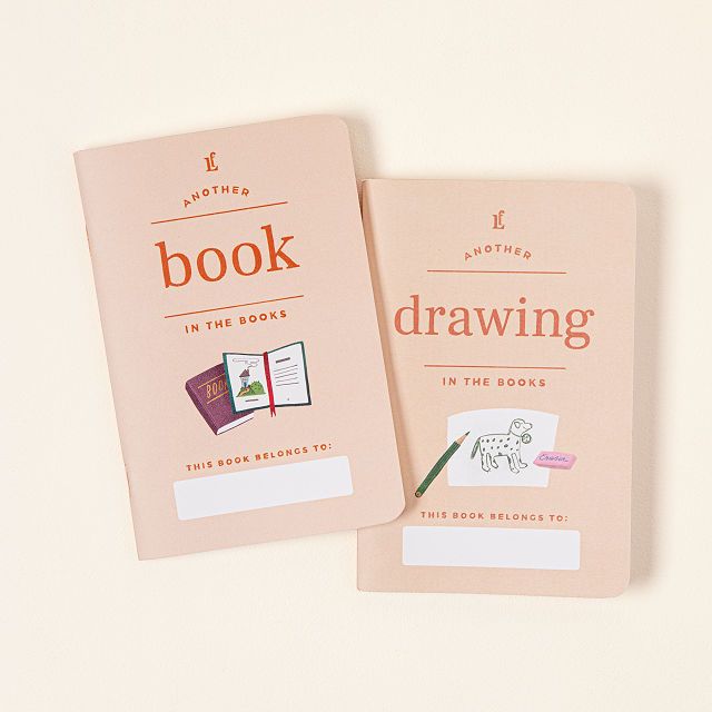 Image of a peach colored set of books on a white background. One reads "another book in the books" and the other reads "another drawing in the books." They're styled like passports. 