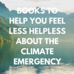 image pinterest pour les livres sur l'urgence climatique