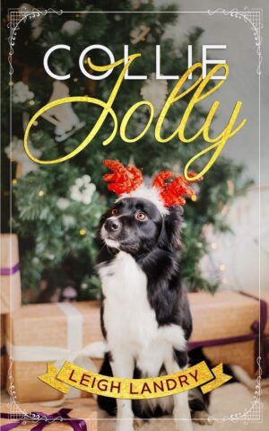 Collie Jolly cover