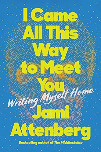 Book cover for I Came All This Way to Meet You