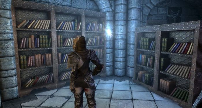 character standing in from of book shelf in Skyrim video game