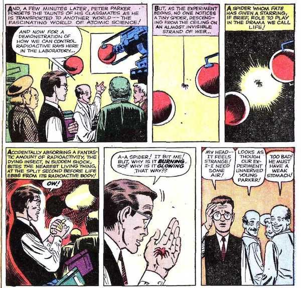 Six panels from Amazing Fantasy #15.
Panel 1: A scientist lectures to a group that includes Peter while gesturing to a large machine that presumably shoots radiation.
Narration Box: And, a few minutes later, Peter Parker forgets the taunts of his classmates as he is transported to another world - the fascinating world of atomic science!
Scientist: And now for a demonstration of how we can control radioactive rays here in the laboratory...
Panel 2: A spider lowers itself on a thread between two red globes that the radiation is generated from.
Narration Box: But, as the experiment begins, no one notices a tiny spider, descending from the ceiling on an almost invisible strand of web...
Panel 3: The radiation turns on, hitting the spider.
Narration Box: A spider whom fate has given a starring, if brief, role to play in the drama we call life!
Panel 4: Peter recoils and clutches at his hand.
Narration Box: Accidentally absorbing a fantastic amount of radioactivity, the dying insect, in sudden shock, bites the nearest living thing, at the split second before life ebbs from its radioactive body!
Peter: Ow!
Panel 5: Peter stares at the squashed spider in his hand.
Peter: A - a spider! It bit me! But, why is it burning so! Why is it glowing that way??
Panel 6: Peter leaves the room while the scientists laugh.
Peter: My head - it feels strange! I - I need some air!
Scientist #1: Looks as though our experiment has unnerved young Parker!
Scientist #2: Too bad! He must have a weak stomach!