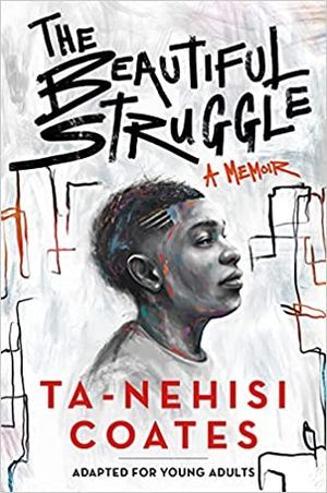 the beautiful struggle book cover