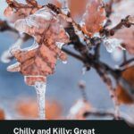 pinterest image for winter thrillers