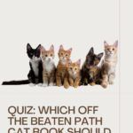 pinterest image for cat book quiz