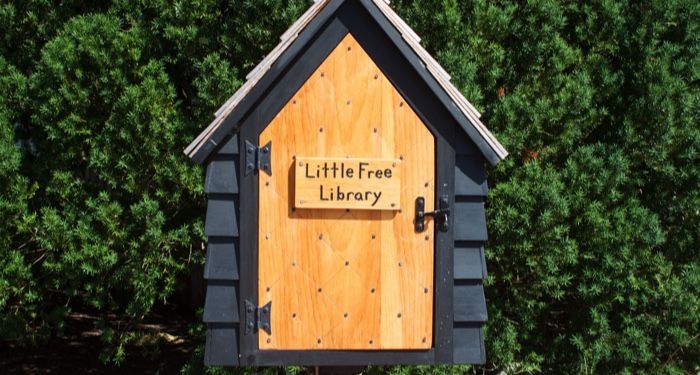 a wooden little free library with grey trim with trees in the background