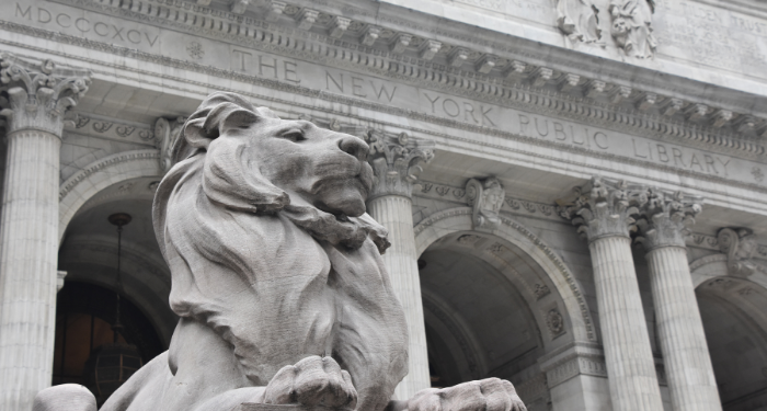 photo of new york public library lion statue