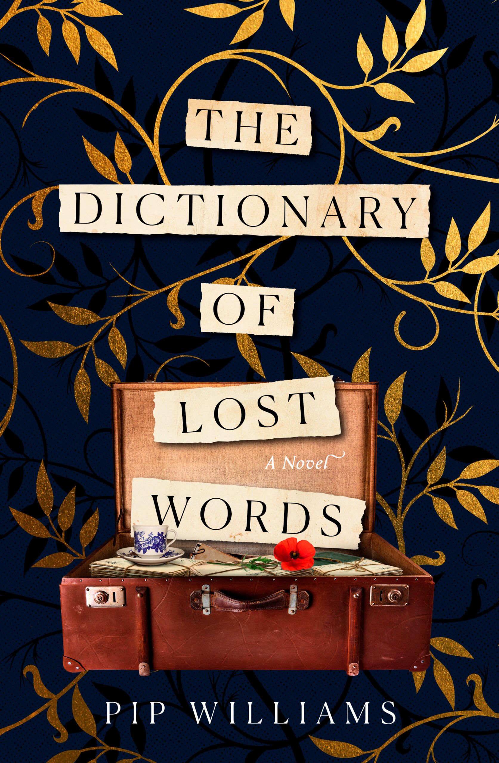 The Dictionary of Lost Words