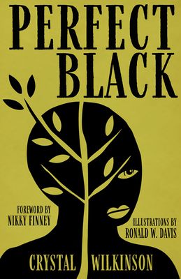 A graphic of the cover of Perfect Black by Crystal Wilkinson