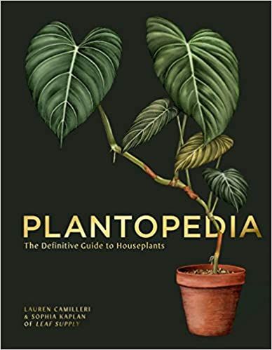 Best Books About Keeping and Caring for Houseplants - 90