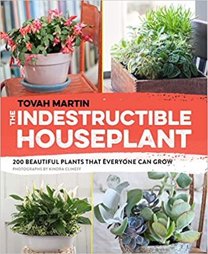 Cover of The Indestructible Houseplant