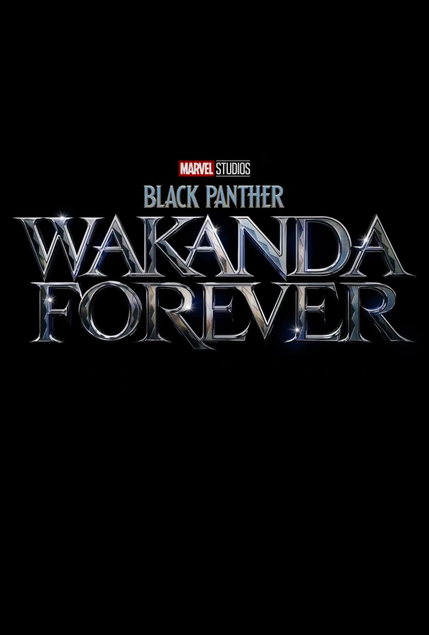 Black Panther Wakanda Forever poster image