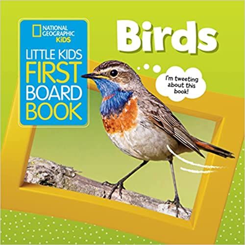 national geographic first book of birds