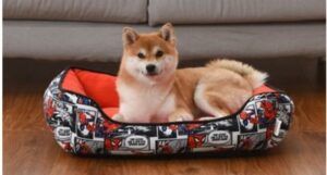 image of a dog in a comic themed bed