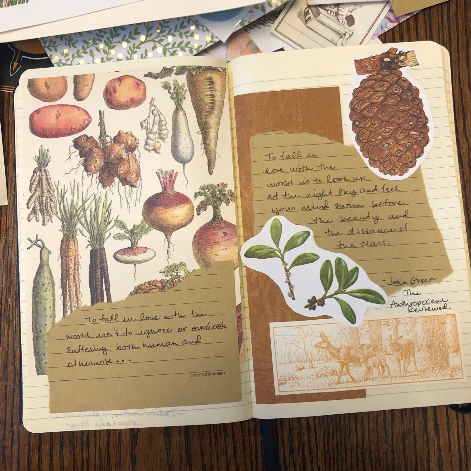 (Photo by Cassie Gutman)

Image of a full journal spread, with a background paper of carrots and turnips with lined paper pasted on top, with a quote from The Anthropocene Reviewed. The pages also have cutouts of plants, pinecones, and a deer on them. 