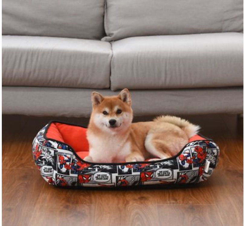 Image of a cute down in a Spider-man themed dog bed.