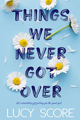 things we never got over book cover