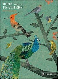 15 Delightful Bird Books For Kids  Fiction   Nonfiction - 67