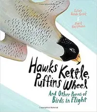 Hawks, Kettle, Puffins Wheel- and other poems of birds in flight by Susan Vande Griek Cover