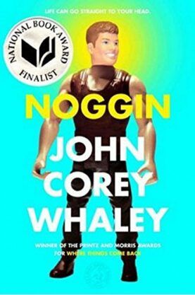 Noggin Cover