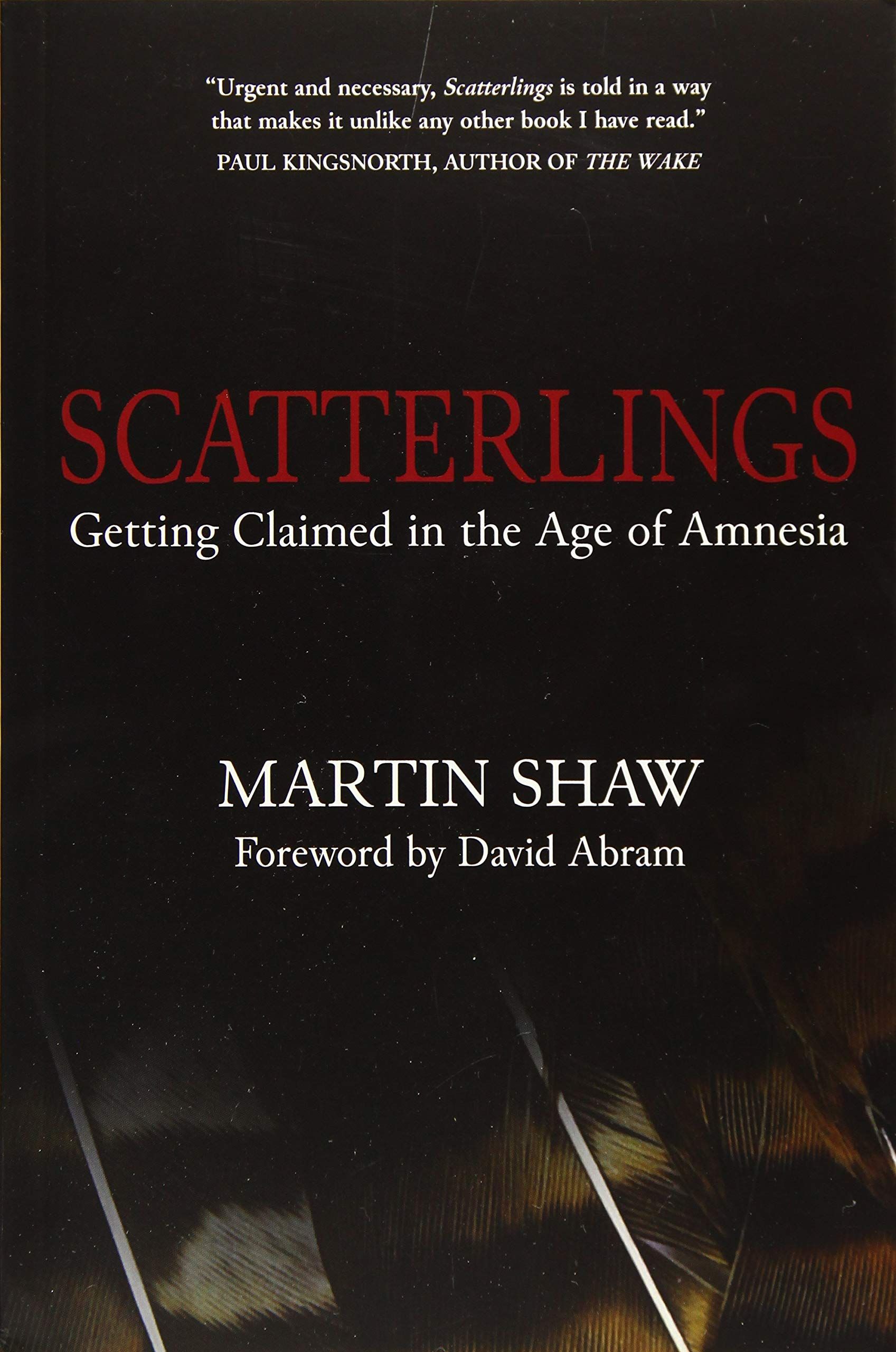 Book cover of Scatterlings by Martin Shaw