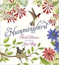 The Hummingbird, by Nicola Davies Cover